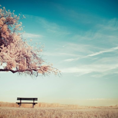 1920 x 1080 HD Wallpapers 1011